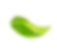 лист